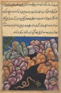 Side fra Tales of a Parrot Tuti-nama: Tjuesette natt: Slangen kommer inn..., ca. 1560. av Unbekannt