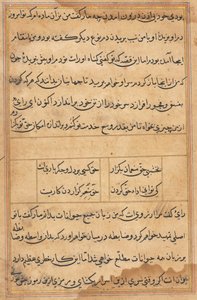 Side fra Tales of a Parrot Tuti-nama: tekstside, ca. 1560. av Unbekannt