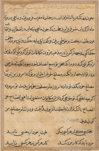 Side fra Tales of a Parrot Tuti-nama: tekstside, ca. 1560. av Unbekannt