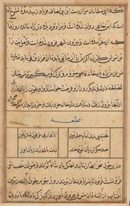 Side fra Tales of a Parrot Tuti-nama: tekstside, ca. 1560. av Unbekannt