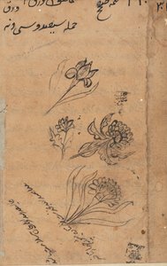Side fra Tales of a Parrot Tuti-nama: tekstside, ca. 1560. av Unbekannt