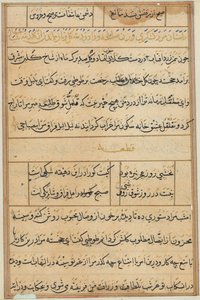 Side fra Tales of a Parrot Tuti-nama: tekstside, ca. 1560. av Unbekannt