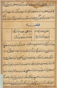 Side fra Tales of a Parrot Tuti-nama: tekstside, ca. 1560. av Unbekannt