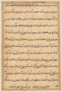 Seite aus den Geschichten eines Papageis Tuti-nama: Textseite, ca. 1560 von Unbekannt