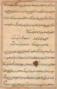Side fra Tales of a Parrot Tuti-nama: tekstside, ca. 1560. av Unbekannt