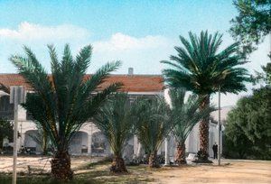 Palmer, Hammam Meskoutine, Algerie av Unbekannt