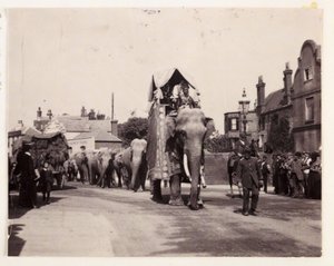 Parade av elefanter, ca 1905 av Unbekannt