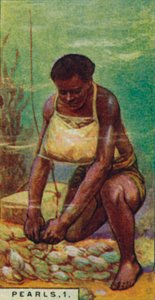 Pearls 1. Native Diver at Work, Ceylon, 1928 av Unbekannt