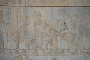 Persepolis, Iran (bilde) av Unbekannt