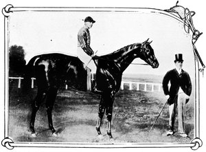 Persimmon, 1911 av Unbekannt