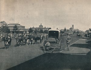 Pietermaritzburg, ca 1900. av Unbekannt