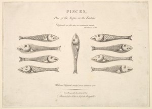 Fiskene: Hogarths Quadrille Fish, ca. 1730. av Unbekannt