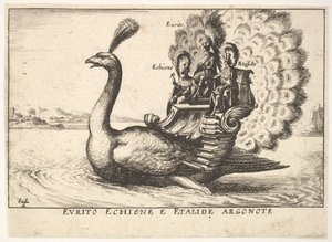 Plate 14: Argonautene Eurytus, Echion og Aethalides Eurito Echione e Etalide Argonote..., 1664 av Unbekannt