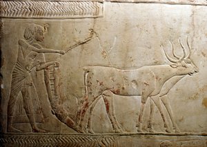 Pløying fra en egyptisk stele, 18. dynasti, 1332-1323 f.Kr. av Unbekannt