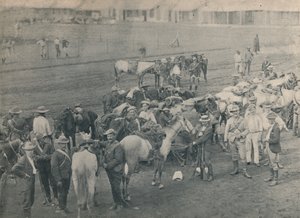 Rørleggerhest, c1900. av Unbekannt