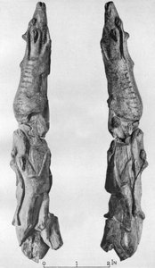 Punkt av mammut brosme skåret med reinsdyr, fra Montastruc, Bruniquel, Frankrike, 1926 av Unbekannt