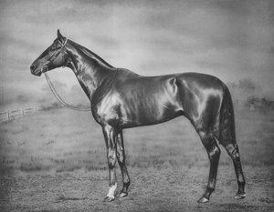 Polymelus, 1902-1924, 1911 av Unbekannt