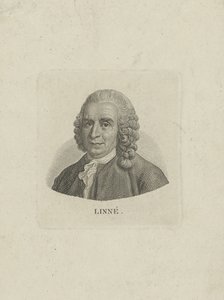 Portrett av Carl Linné 1707-1778, ca. 1780. av Unbekannt