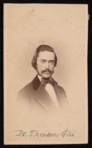 Portrett av Theodore Nicholas Gill 1837-1914, ca 1860-tallet. av Unbekannt