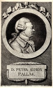 Portrett av zoologen og botanikeren Peter Simon Pallas 1741-1811, tidlig på 1800-tallet. av Unbekannt