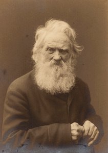 Portrett av en gammel mann, Landskrona, Sverige, 1910 av Unbekannt