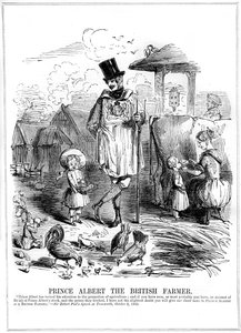 Prins Albert den britiske bonden, 1843 av Unbekannt