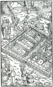 Produsere salt ved å fordampe sjøvann i saltpanner, 1556 av Unbekannt