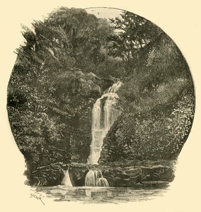 Pyrddin Falls, Vale of Neath, 1898. av Unbekannt