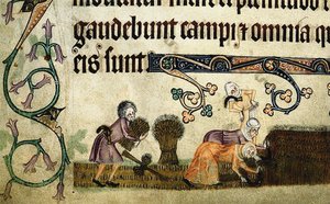Høste og binde skiver fra Luttrell Psalter, ca 1330 av Unbekannt
