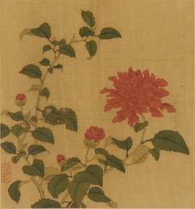 Rød pion, Qing-dynastiet, 1700-tallet. av Unbekannt