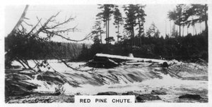 Red Pine Chute, Canada, ca 1920-tallet av Unbekannt