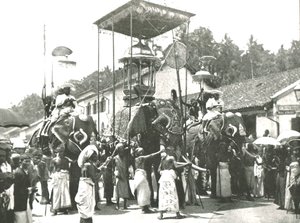 Religiøs prosesjon, Colombo, Ceylon, 1895. av Unbekannt