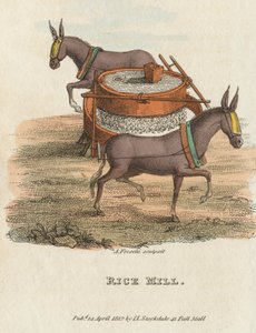 Rismølle, 1813 av Unbekannt