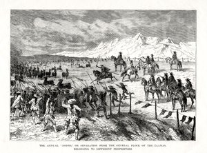 Rodeo, Südamerika, 1877 von Unbekannt