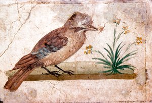 Romersk veggmaleri av Jay fra Boscoreale nær Pompeii, 1. århundre av Unbekannt