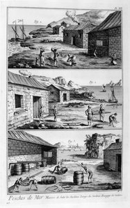 Salting, vasking, pakking av sardiner, 1751-1777 av Unbekannt