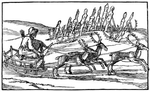 Samojed som reiser på en slede trukket av reinsdyr, sent på 1500- og tidlig på 1600-tallet av Unbekannt