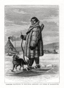 Samoyede reiser på snøsko, Russland, 1877 av Unbekannt