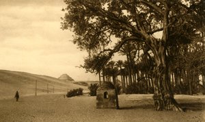 Saqqara - Trinnpyramiden sett fra Sycomore, c1918-c1939. av Unbekannt