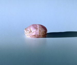 Scarab i ametyst, gammel egyptisk, 1200-tallet f.Kr av Unbekannt