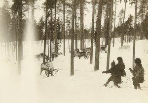 Sverige. Rag (frø) ved fangst av rein. Rundt 1900 av Unbekannt