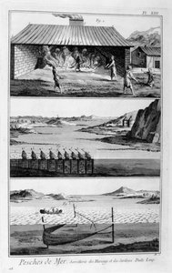 Havfiske, sild og sardiner, 1751-1777 av Unbekannt