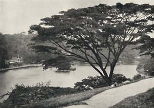 Lake, Temple of the Sacred Tooth Reed og bibliotek i Kandy, sett øst fra Victoria Drive, 192 av Unbekannt