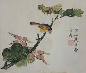 Seeds and Aleurites Cordata : Side fra The Mustard Seed Garden Manual of..., 1782, 2. utgave. av Unbekannt