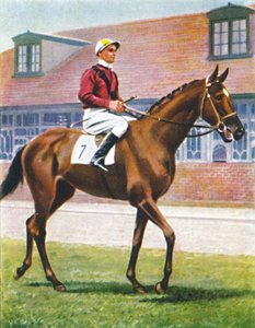 Senor, jockey: J. Crouch, 1939 av Unbekannt