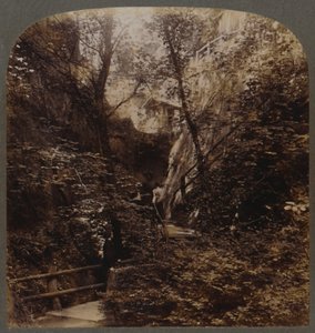 Shanklin Chine av verdensomspennende berømmelse, Isle of Wight, England, c1910. av Unbekannt