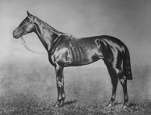 Frøken, 1905-1928, 1911 av Unbekannt