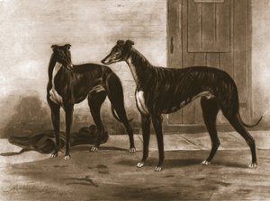 Simonian og Fullerton, c1891, 1911. av Unbekannt