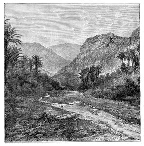 Sinai, Egypt, 1895 av Unbekannt