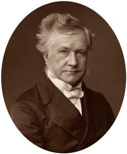 Sir Robert Lush, dommer ved High Court of Justice, 1881 av Unbekannt